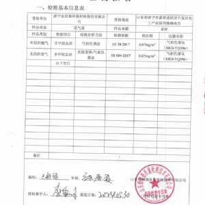 檢測(cè)報(bào)告(2024.05.30)